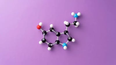Introducción a las hormonas incretinas y su papel en la diabetes